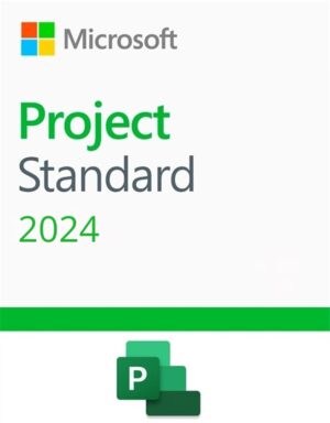 Microsoft Project Standard 2024