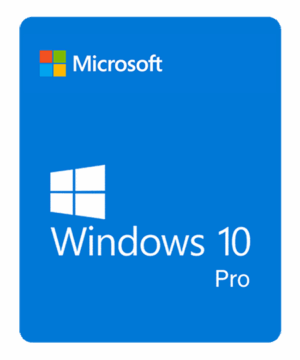Windows 10 Professional